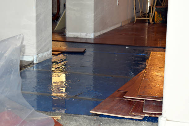 Professional Burst Pipe Cleanup technician working in Bridgeport, WA